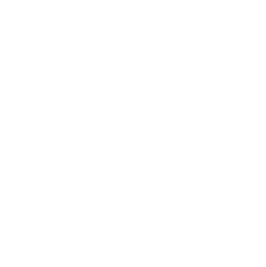 bmw logo