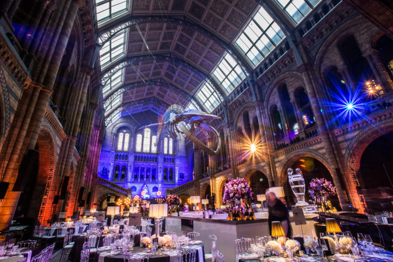 Party at Hintze Hall in the Natural History Museum