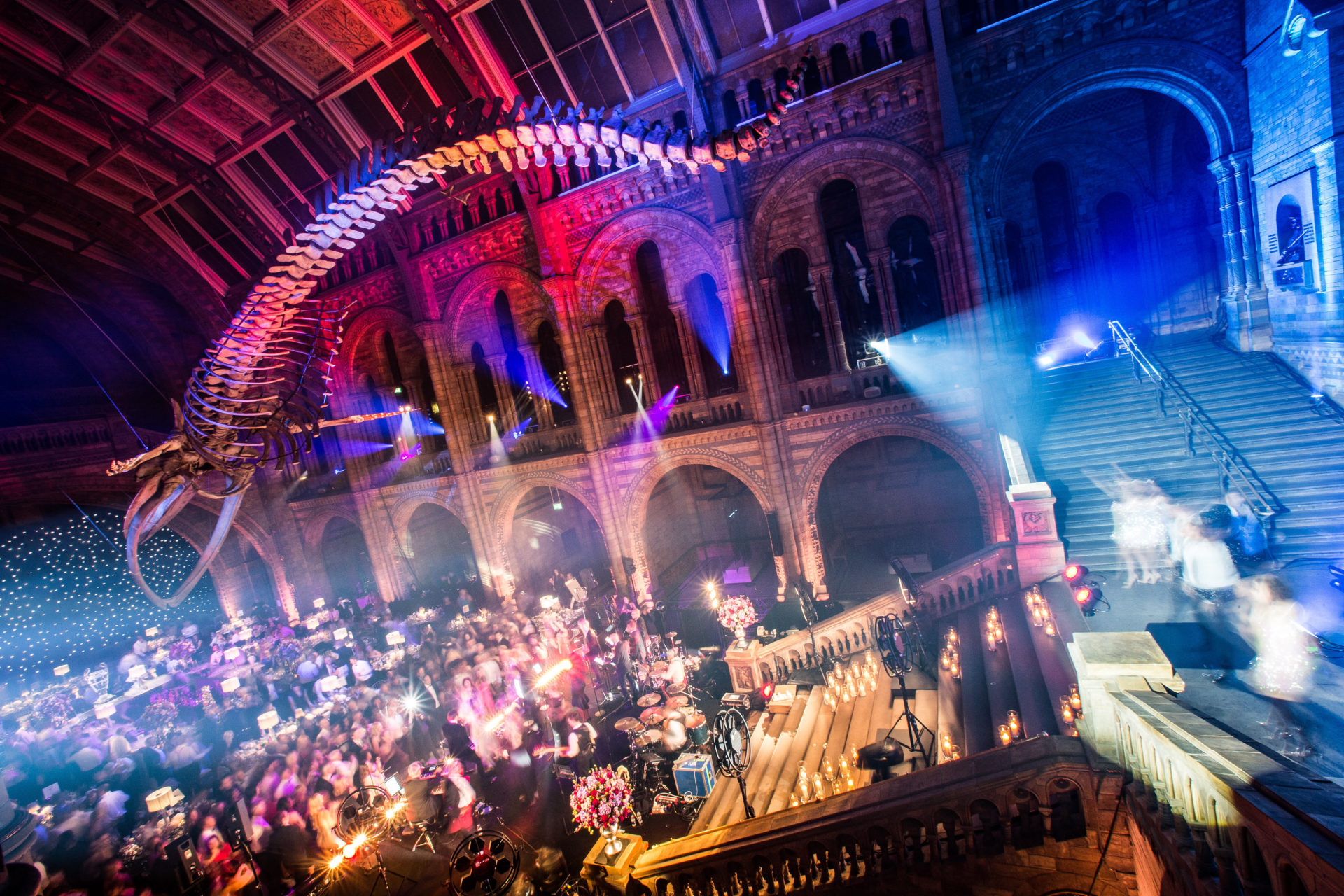 Natural History Museum Party