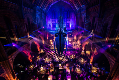 View from above of party at the Natural History Museum